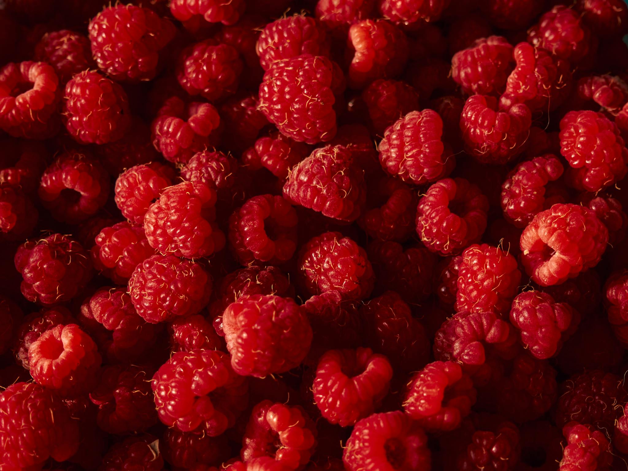 A vibrant pile of fresh raspberries under natural light, highlighting their rich red color and ripe texture.